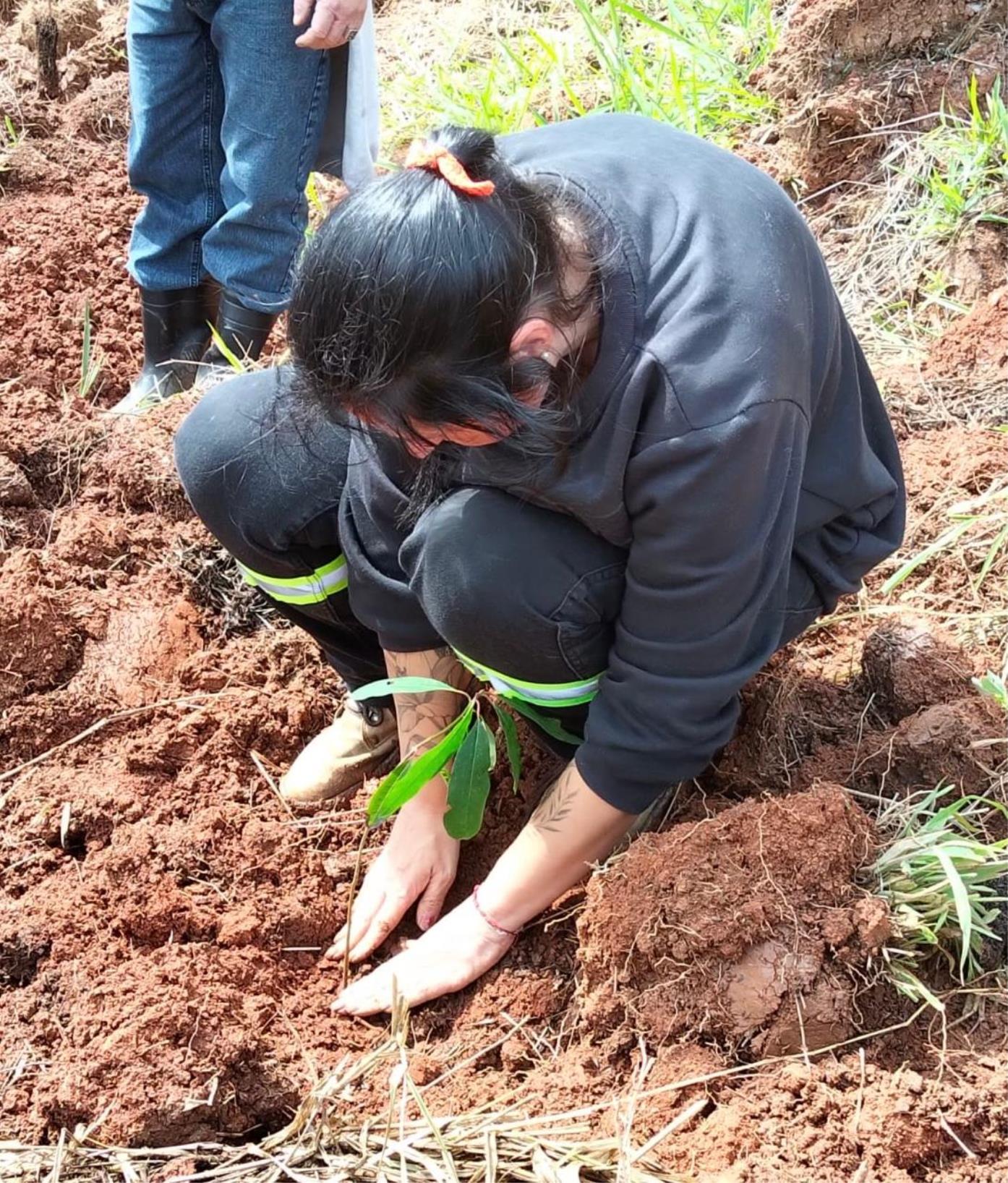 Monte Alegre do Sul planta mil mudas de árvores nativas no Dia da Árvore